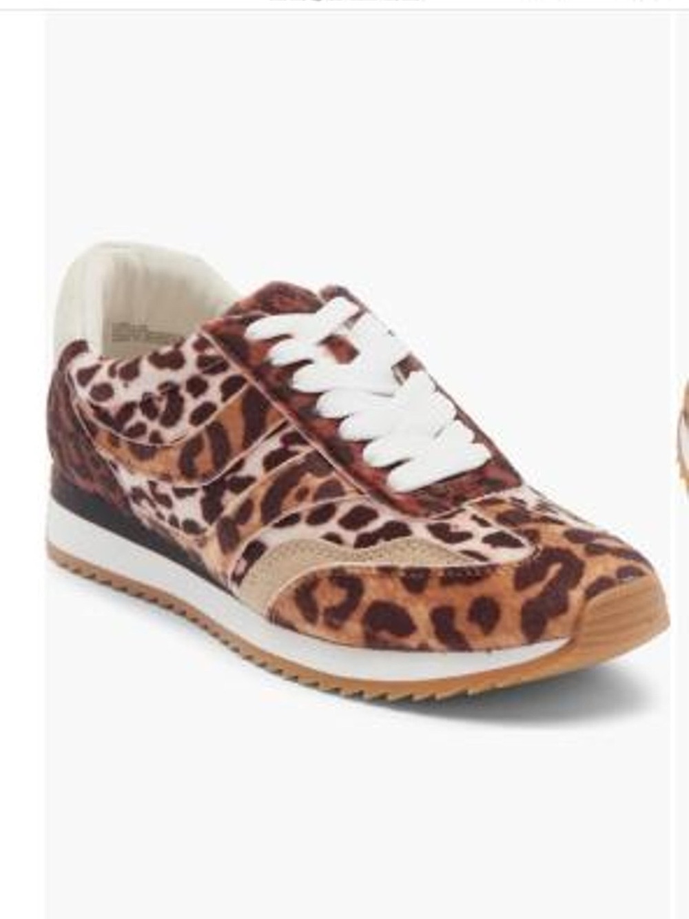 Dolce Vita Esha sneaker in leopard print size 10